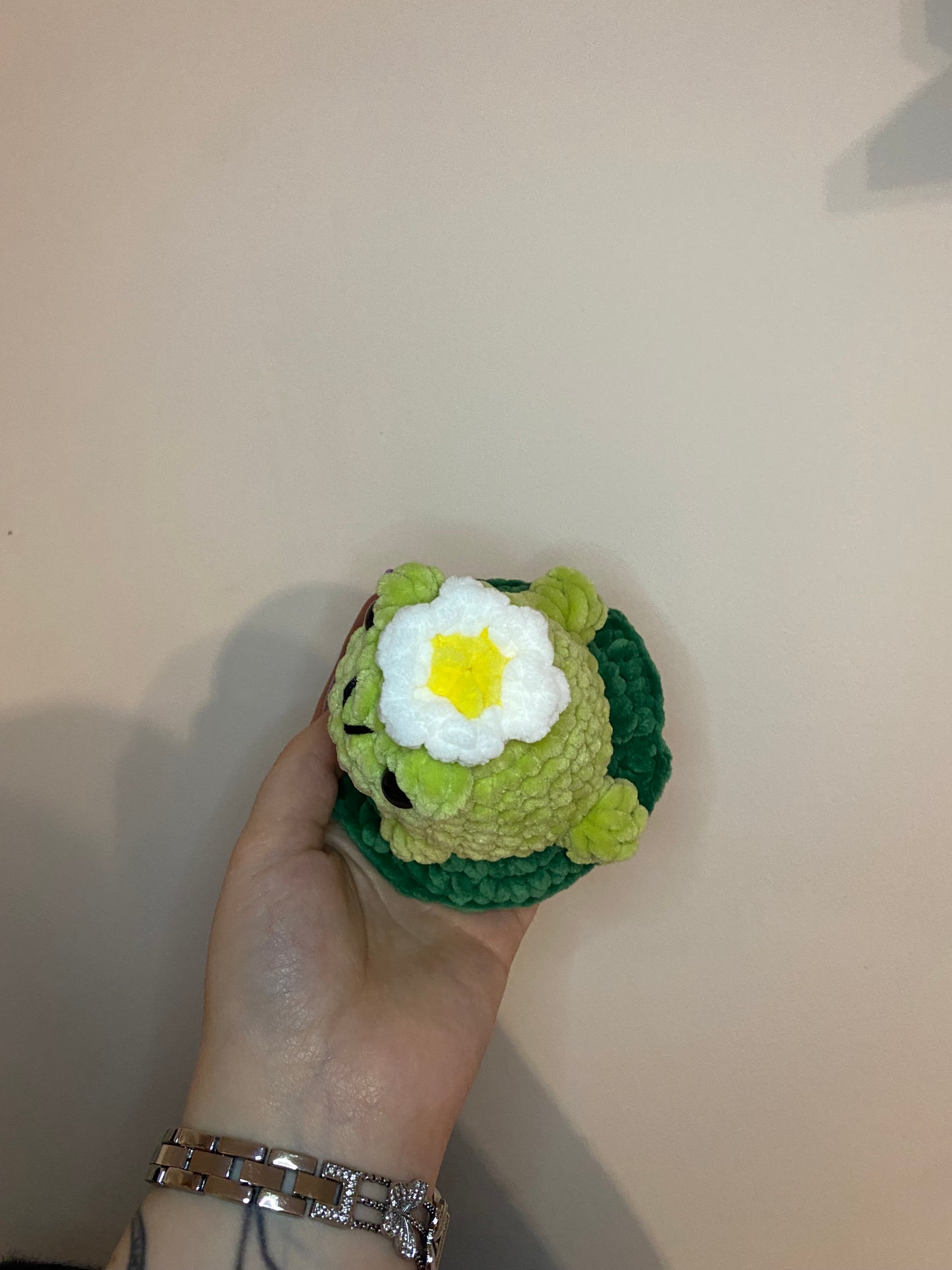 Blumi der Avocado-Frosch