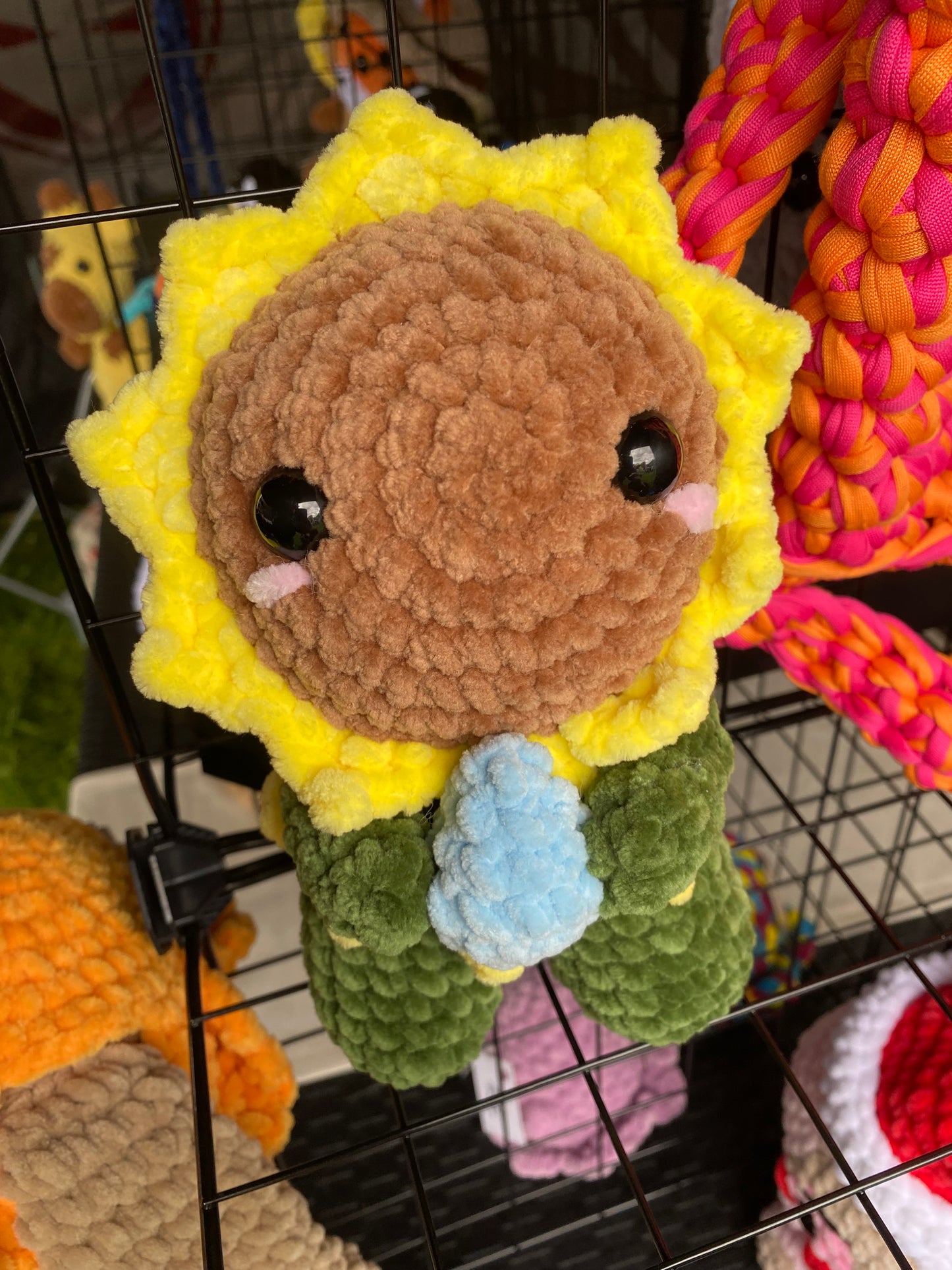 Sonnenblume mit Wassertropfen