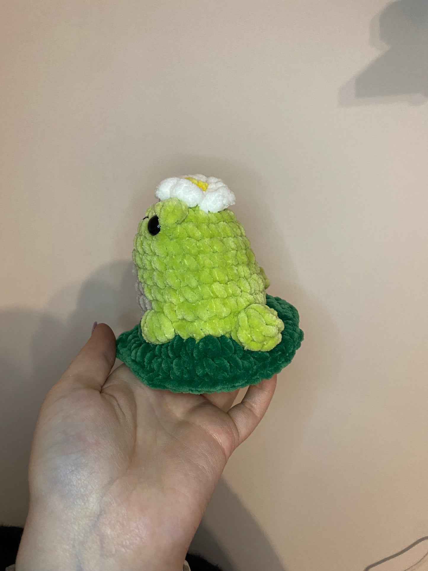 Blumi der Avocado-Frosch