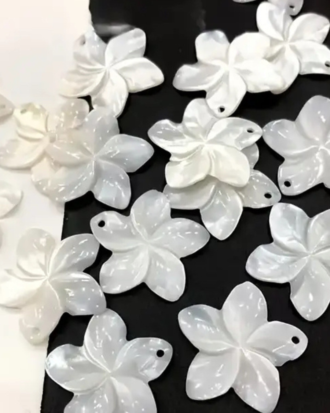 Plumeria Blume aus echter Muschel- Charm