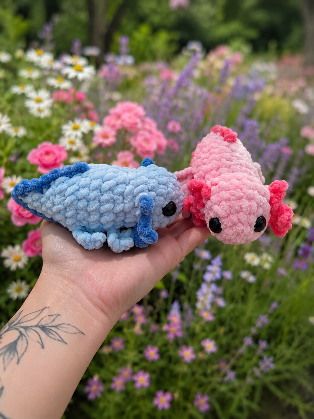 Anna Axolotl