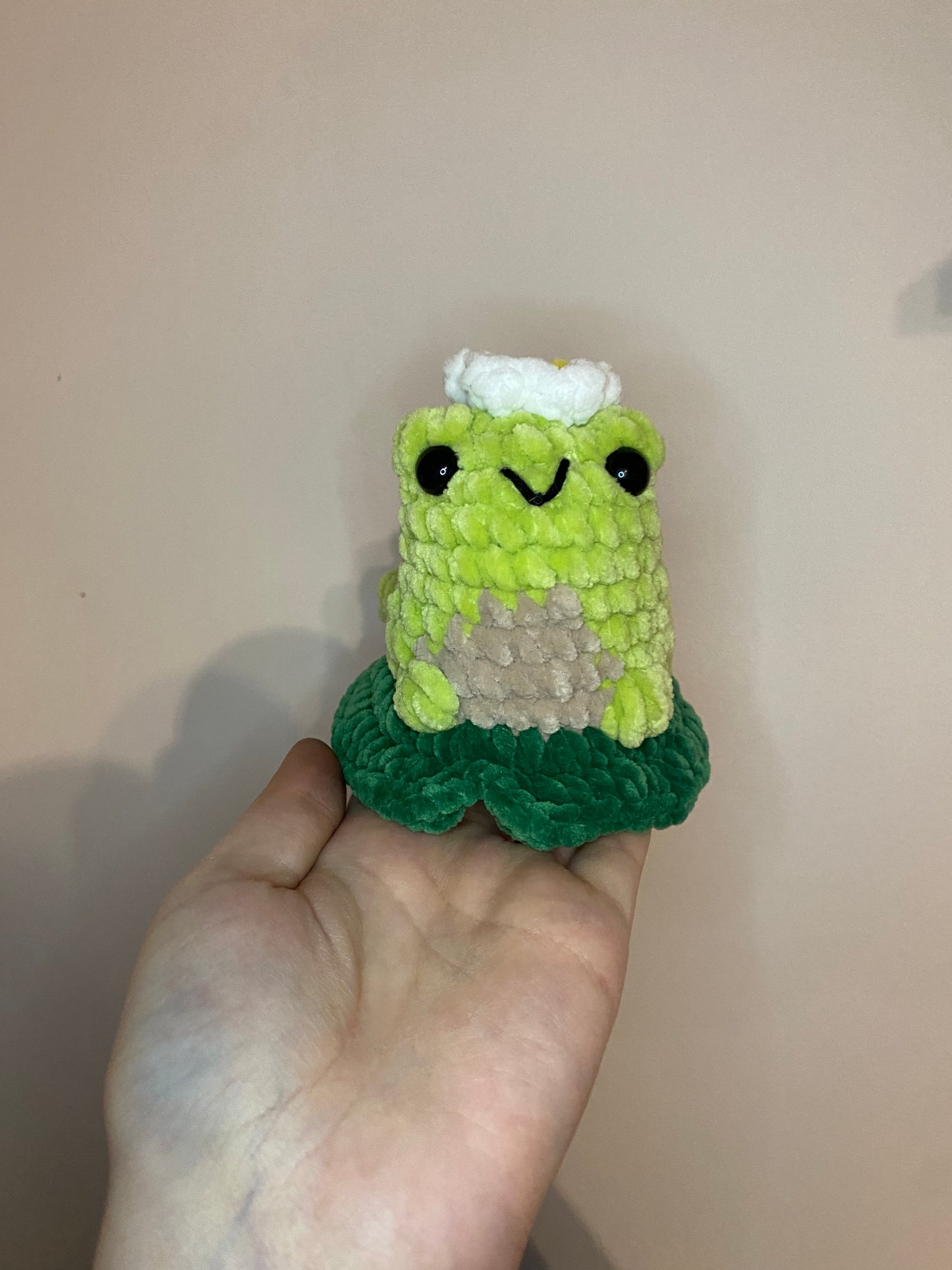 Blumi der Avocado-Frosch