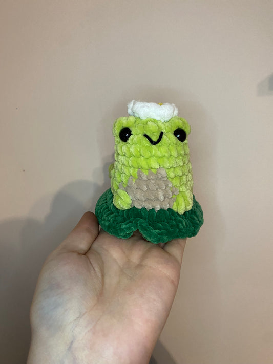 Blumi der Avocado-Frosch