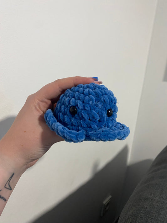 Oktopus blau