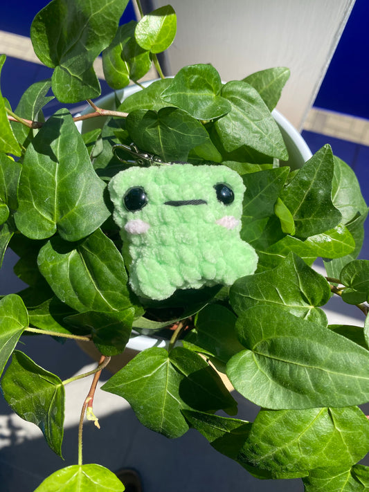 Schlüsselanhänger/ Pocket Frog- Ferdinand Frosch