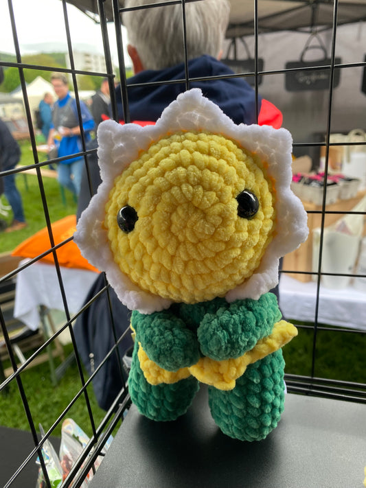 Gänseblümchen