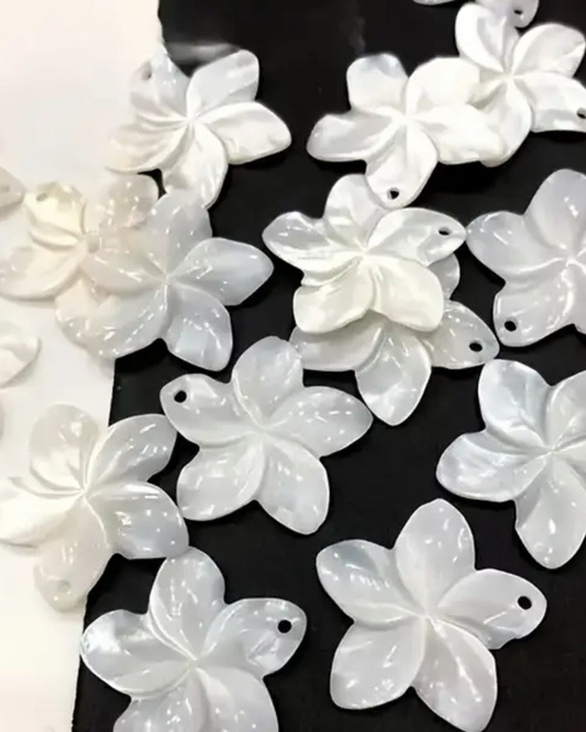 Plumeria Blume aus echter Muschel- Charm